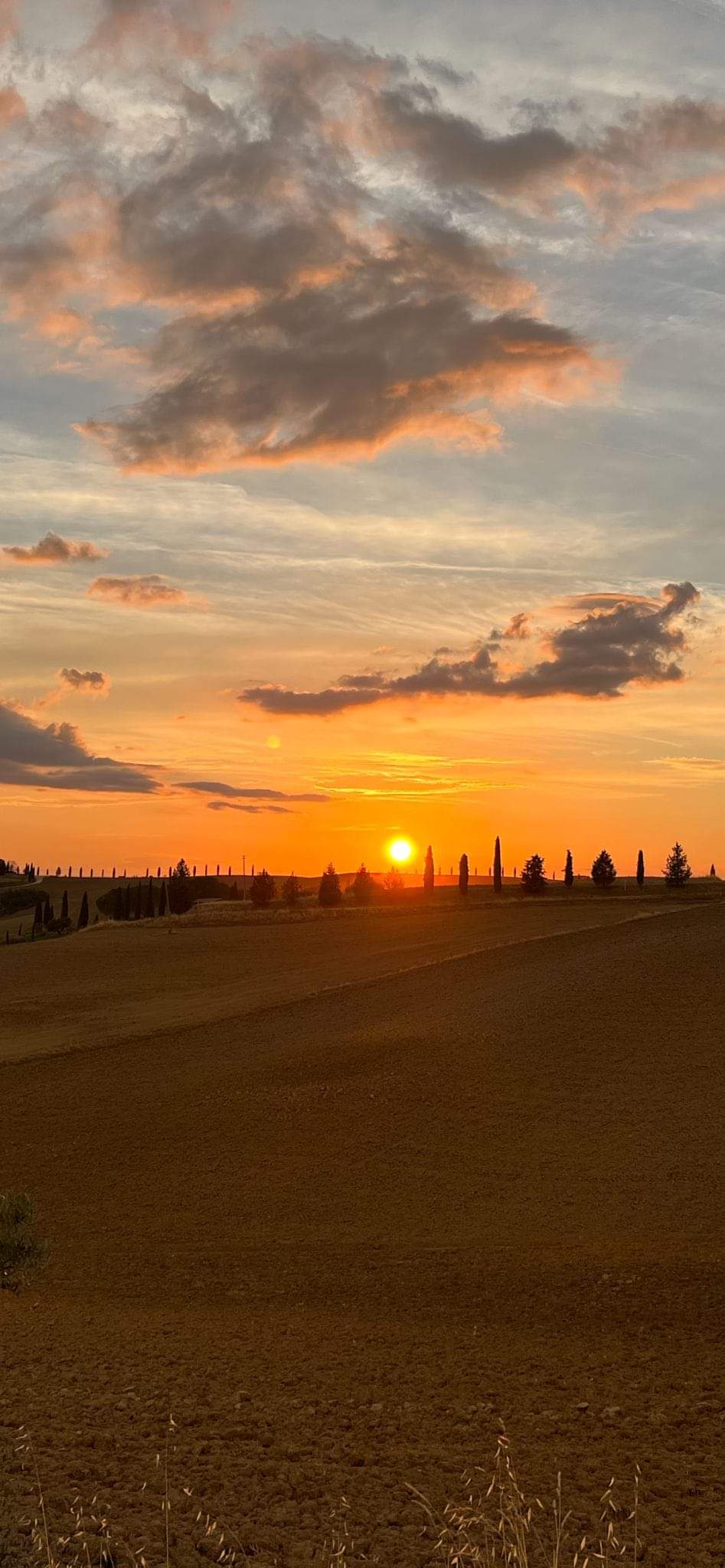 Siena | Toscana Turismo & Congressi